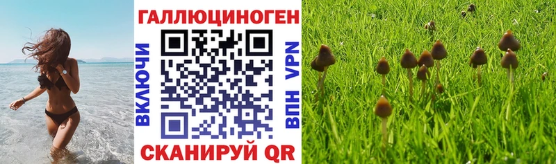 Галлюциногенные грибы GOLDEN TEACHER  Красавино 